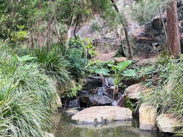 Waterfall at Roma Street Parkland