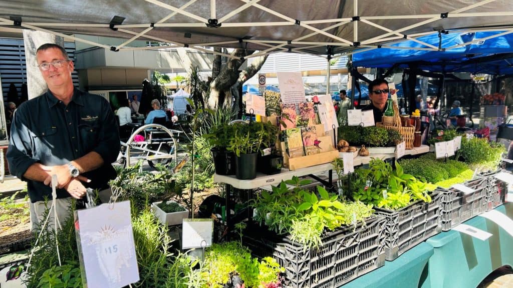 Plant stalls at Kelvin Grove markets